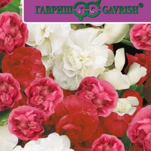 Бегония Королева F1, вечноцв. махровая смесь, гранул. 4 шт. пробирка Н13