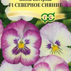 Виола Северное сияние F1 Виттрока (Анютины глазки)* 5 шт. H13