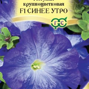 Петуния Синее утро F1 крупноцв. 5 шт. гранул. пробирка Н14