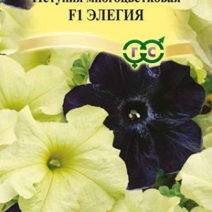 Петуния Элегия F1 крупноцв. 5 шт. гранул. пробирка Н13