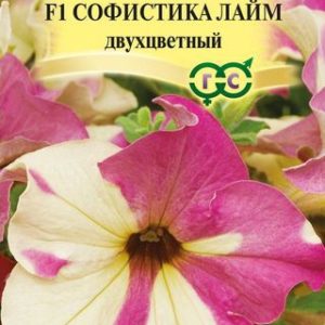 Петуния Софистика лайм двухцветный F1 крупноцв. 5 шт. гранул. пробирка Н13