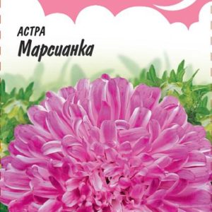Астра Марсианка 0,3 г, воронежская Н13 сиреневая серия Розовые сны