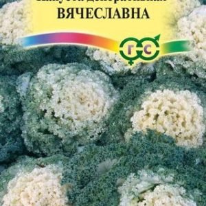 Капуста декоративная Вячеславна* 0,1 г,воронежская белая Н13