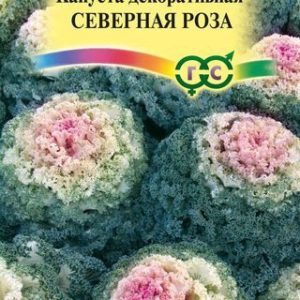 Капуста декоративная Северная роза* 0,1 г , воронежская розовая Н13