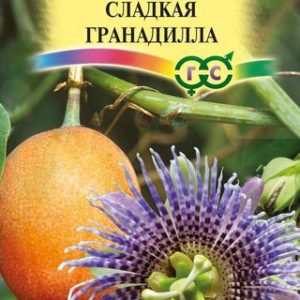 Пассифлора язычковая Сладкая гранадилла* 5 шт. Н13