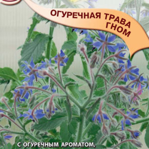 Бораго Огуречная трава Гном 0,5 г