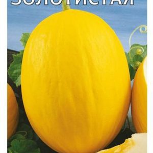 Дыня Золотистая 1 г Н13м
