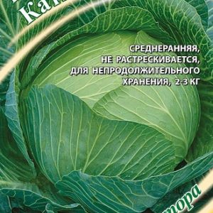Капуста белокоч. Катюшка автор. 0,3 г для квашения Н13