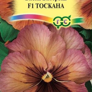 Виола Тоскана F1 Виттрока (Анютины глазки)* 5 шт. Италия Н13