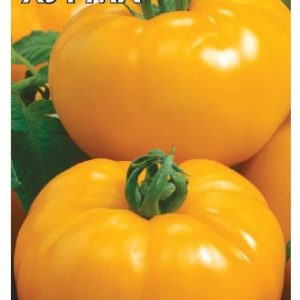 Томат Хурма 0,1 г Н13