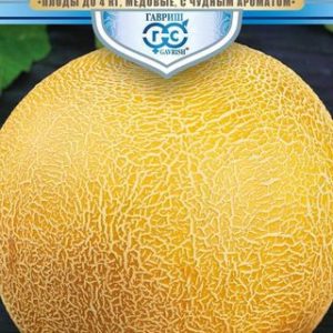 Дыня Сладкое чудо 1 г серия Русский богатырь Н13
