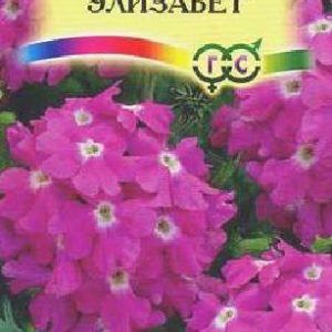 Вербена Элизабет* 0,05 г Н10