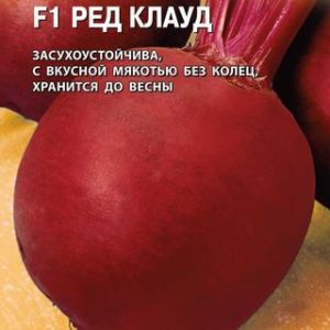 Свекла Ред Клауд F1 1,0 г (Голландия) Н14