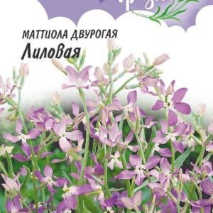 Маттиола двурогая Лиловая 0,5 г серия Лавандовые грёзы