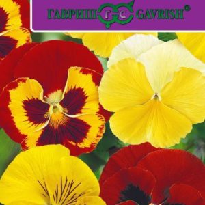 Виола Легенды осени F1 Виттриока (Анютины глазки)* 5 шт. серия Эксклюзив Н19