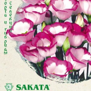 Эустома Пикколо Пикоти малиновая F1 5 шт. Саката Н19