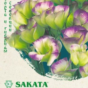 Эустома Пикколо Северное сияние F1 5 шт. Саката Н19