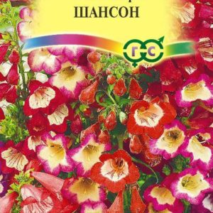 Пенстемон Хартвига Шансон наперстянковый* 0,1 г