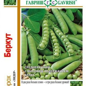 Горох Беркут серия 1+1/ 25 г Н13