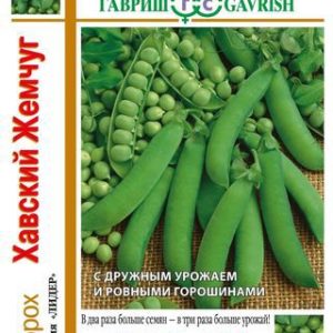 Горох Хавский жемчуг серия 1+1/ 25 г Н13