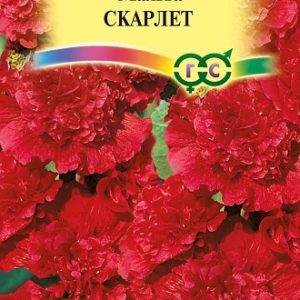 Мальва Скарлет 0,1 г