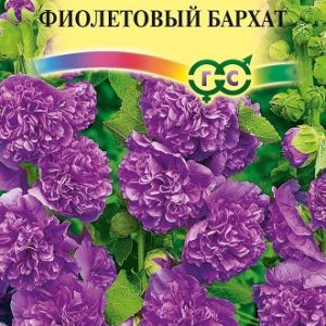 Мальва Фиолетовый бархат 0,1 г
