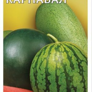 Арбуз Карнавал, смесь 1 г Н13