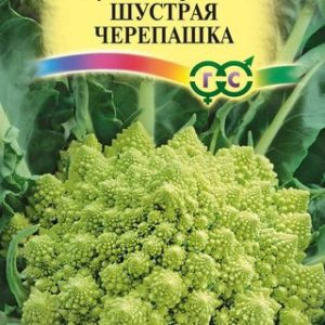 Капуста декоративная Шустрая черепашка 0,2 г Н14