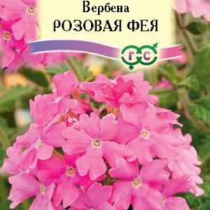 Вербена Розовая фея* 0,1 г, высокорослая Н14