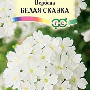 Вербена Белая сказка* 0,1 г, высокорослая Н14