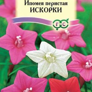 Ипомея Искорки 0,5 г , перистая Н13