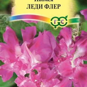 Ипомея Леди Флер, махровая 0,3 г Н14