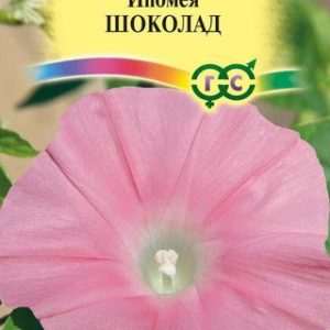 Ипомея Шоколад 0,3 г Н13