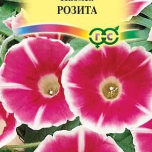 Ипомея Розита 0,3 г Н13