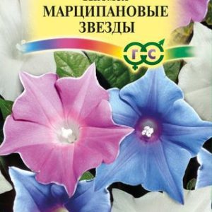 Ипомея Марципановые звезды 0,3 г Н14