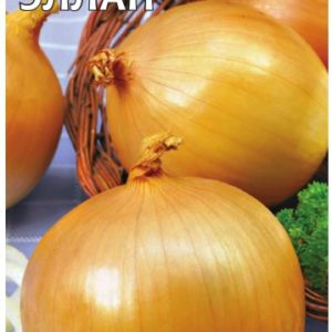 Лук репч. Эллан 1,0 г подзимний посев!