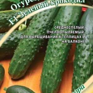 Огурец Зеленый крокодил САЛАТНЫЙ АРОМАТНЫЙ 10 шт, автор. Н13