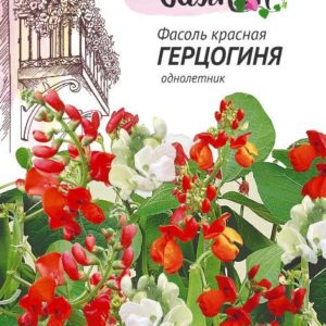 Фасоль красная (Тур. бобы) Герцогиня 5 шт серия Чудесный балкон