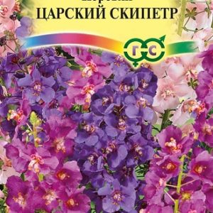 Коровяк Царский скипетр, смесь * 0,1 г Н14
