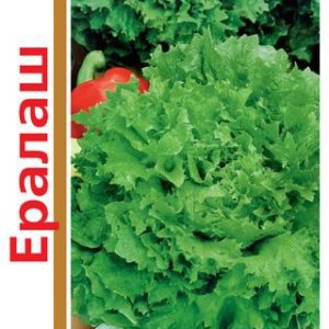 Салат Ералаш серия1+1/ 2,0 г листовой,зеленый автор.