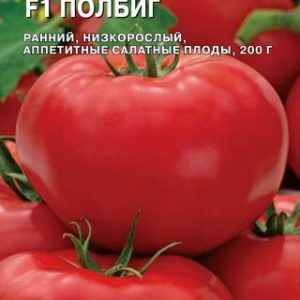 Томат Полбиг F1 10 шт. (Голландия) Н13