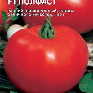 Томат Полфаст F1 10 шт. (Голландия) Н13