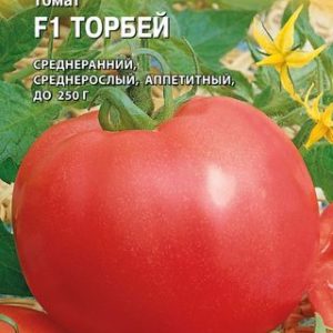 Томат Торбей F1 5 шт. (Голландия) Н13