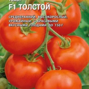 Томат Толстой F1 10 шт. (Голландия) Н13