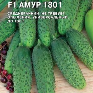 Огурец Амур 1801 F1 8 шт. (Голландия) Н13