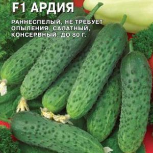 Огурец Ардия F1 8 шт. (Голландия) Н13