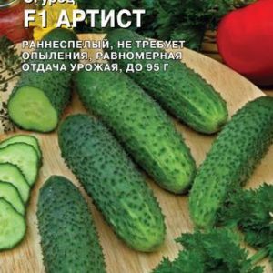 Огурец Артист F1 8 шт. (Голландия) Н13