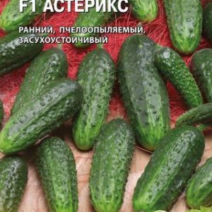 Огурец Астерикс F1 8 шт. (Голландия) Н14