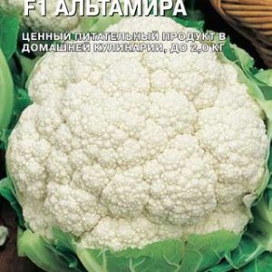 Капуста цветная Альтамира F1 10 шт.(Голландия) Н14