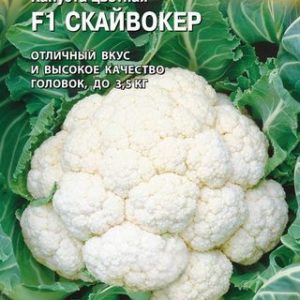 Капуста цветная Скайвокер F1 10 шт.(Голландия) Н14